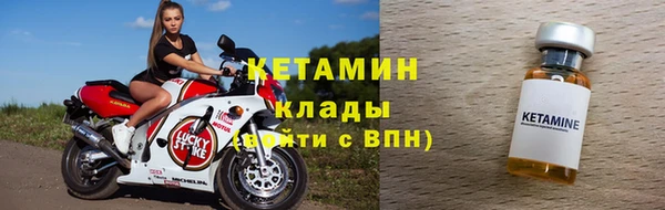 прущие грибы Вязьма