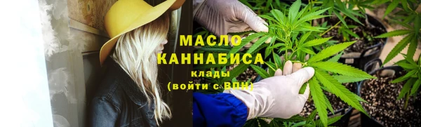 прущие грибы Вязьма