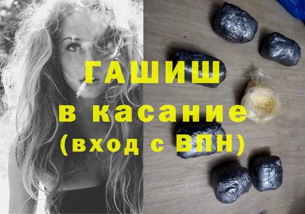 прущие грибы Вязьма