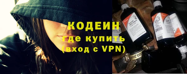 прущая мука Вяземский