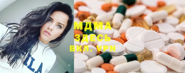прущие грибы Вязьма
