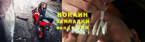прущая мука Вяземский