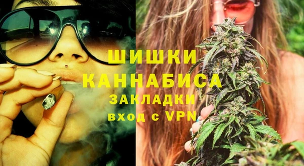 прущие грибы Вязьма