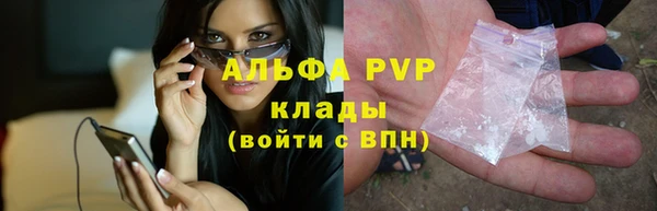 прущая мука Вяземский