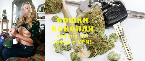 прущие грибы Вязьма
