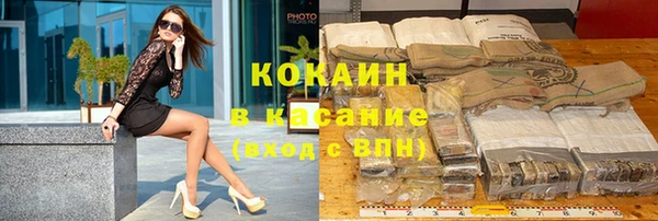 прущие грибы Вязьма