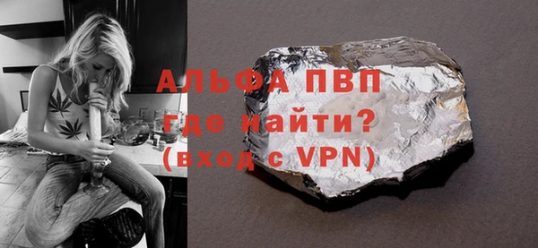 прущие грибы Вязьма
