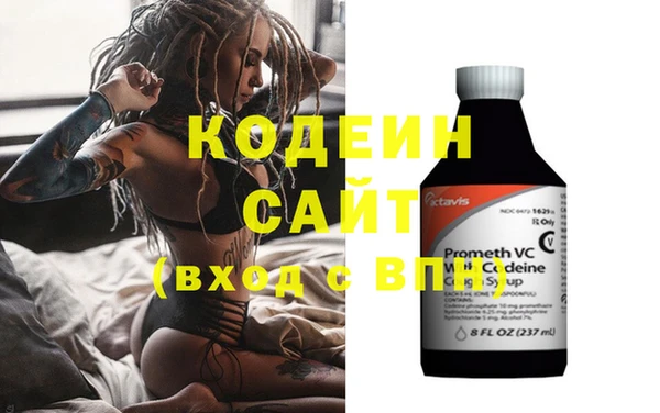 прущие грибы Вязьма
