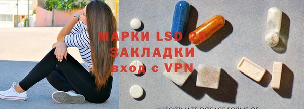 прущие грибы Вязьма
