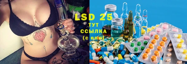 прущие грибы Вязьма