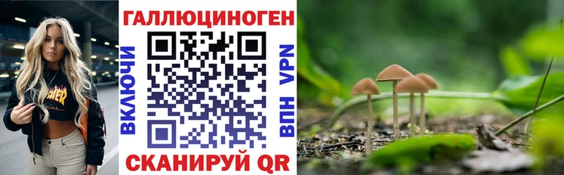 Купить закладки  Можга  Псилоцибиновые грибы ЛСД 
